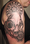 mark-lonsdale-tattoo-bondi-sydney-cat-skull-mandala-dot-work1