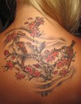 mark-lonsdale-tattoo-bondi-sydney-cherry-blossom-branch-sparrows
