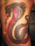 mark-lonsdale-tattoo-bondi-sydney-cobra-ribs