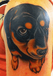 mark-lonsdale-tattoo-bondi-sydney-dog-puppy-portrait1