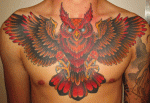 mark-lonsdale-tattoo-bondi-sydney-healed-full-chestpiece-owl-red-fire-autumn-fall1