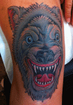 mark-lonsdale-tattoo-bondi-sydney-knee-cap-cute-wolf1