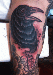 mark-lonsdale-tattoo-bondi-sydney-raven-spirit-ghost1