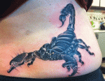 mark-lonsdale-tattoo-bondi-sydney-scorpion