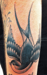 mark-lonsdale-tattoo-bondi-sydney-swallow
