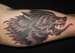 mark-lonsdale-tattoo-sydney-bondi-wolf-angry-snarling